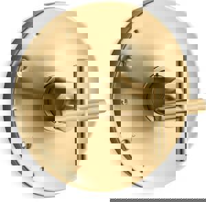 Single Handle Valve Trim in Vibrant Brushed Moderne Brass